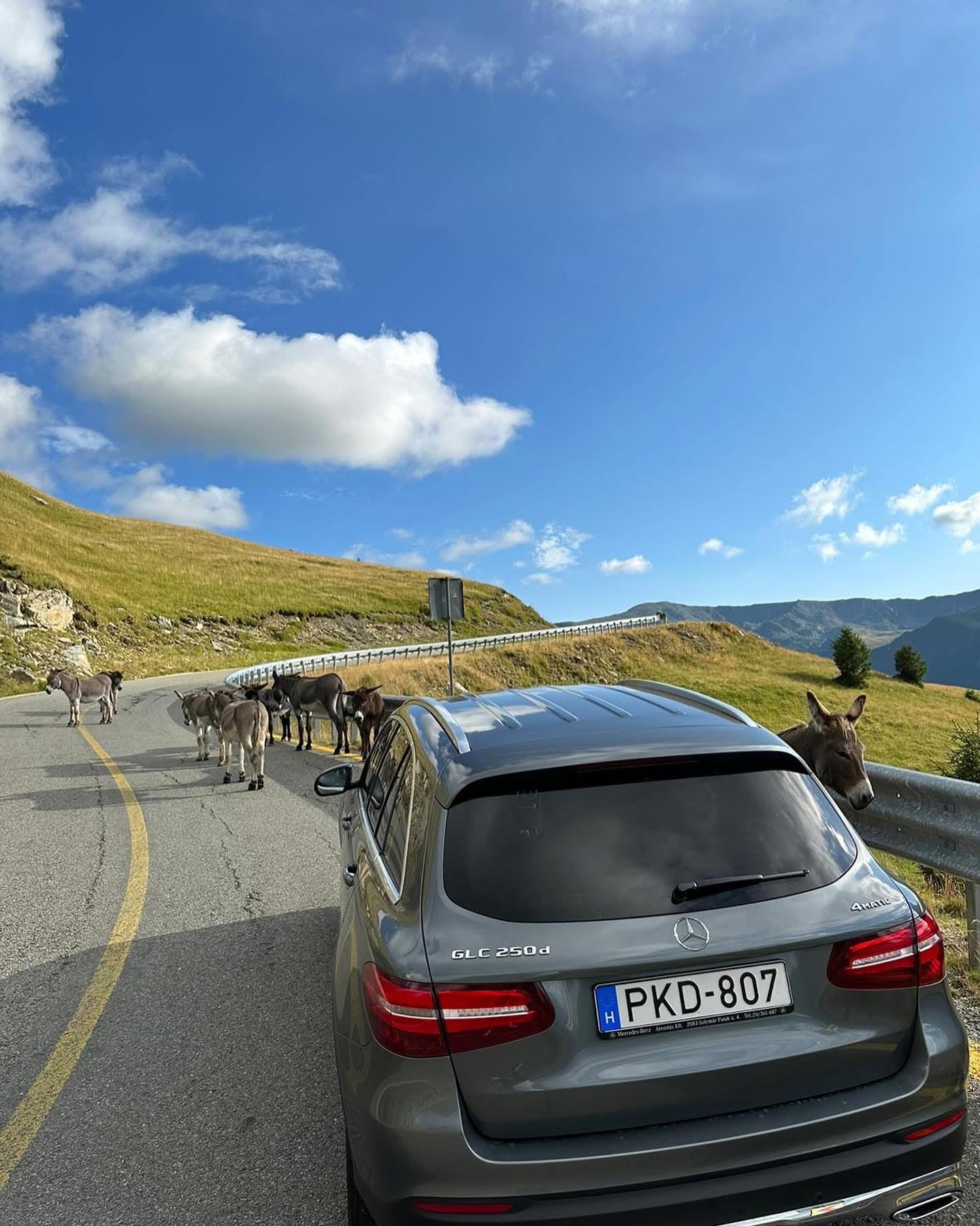 Ondrej Transport Photo 8